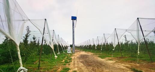 慶城縣 果園搭起“防護(hù)傘” 果農(nóng)增收有保障