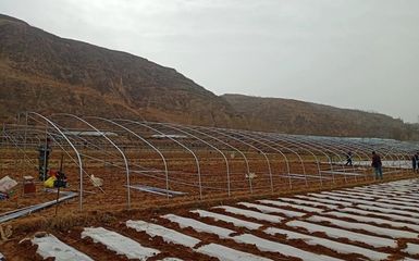 洛門鎮(zhèn) 鋼架大棚建設(shè)“加速度”搭起群眾“致富路”，農(nóng)業(yè)企業(yè)托管服務(wù)顯成效